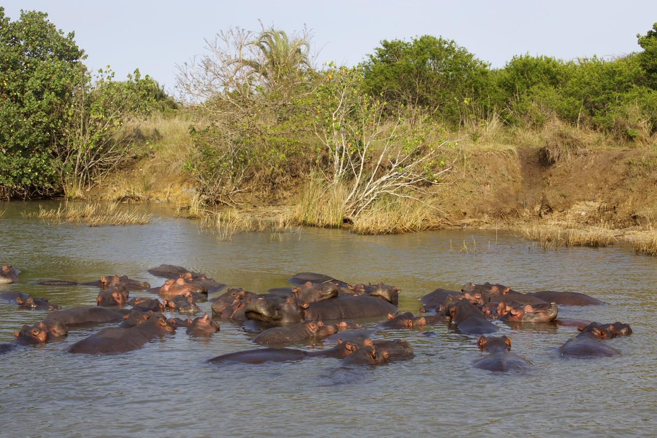 Lodge Afrique Saint Lucia Estuary Exteriör bild